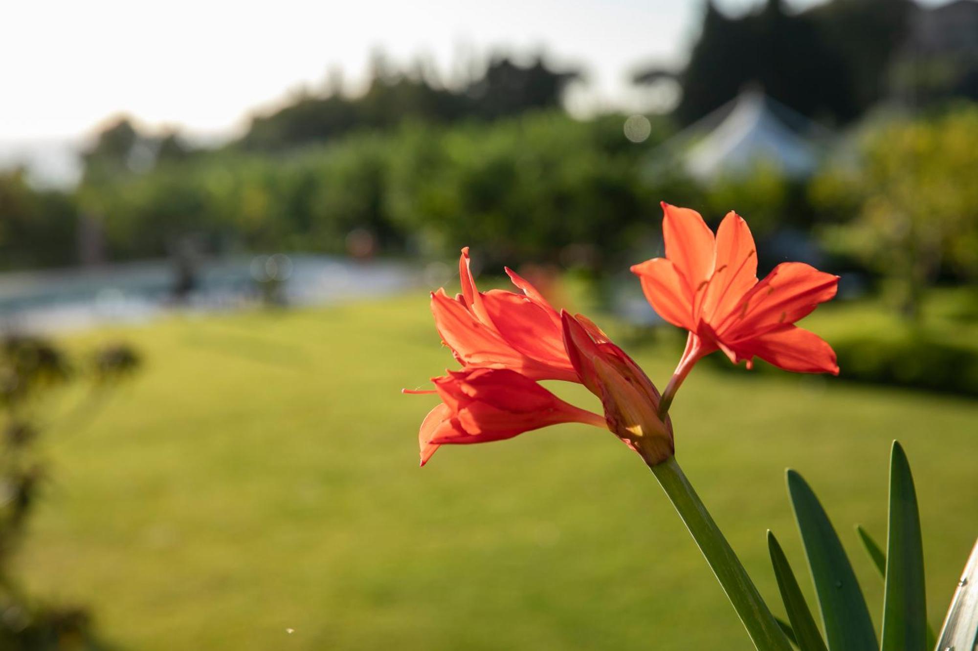 Agriturismo San Leonardello エクステリア 写真